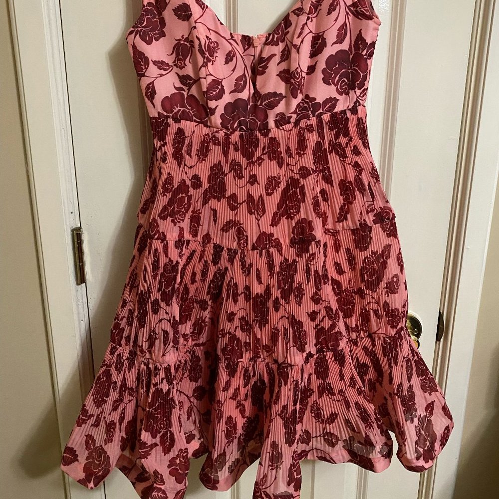 Zimmermann The Lovestruck Ruffled Floral-print Plissé-crepe Mini Dress